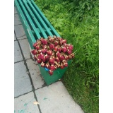 Розовые розы - 1.jpg